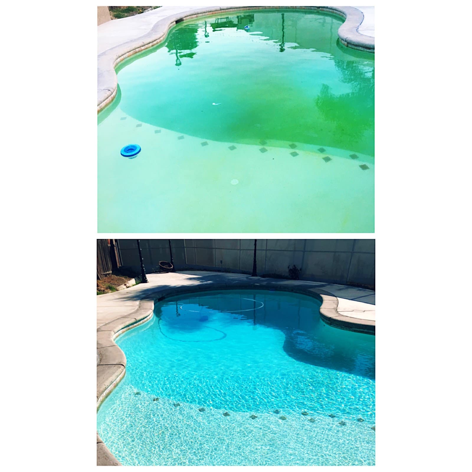 Weekly Pool Cleaning photo 5